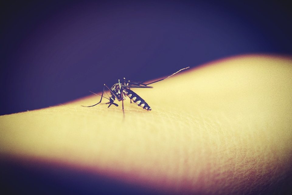 Comment se manifeste le paludisme chez les personnes victime d’elle?