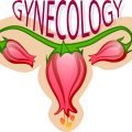 Les gynécologues