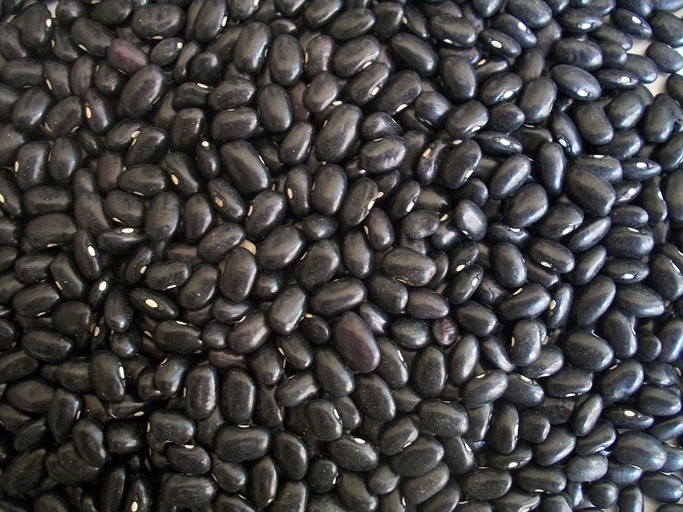 haricots noirs