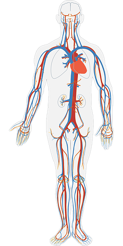 Quelques astuces pour éviter les douleurs musculaires